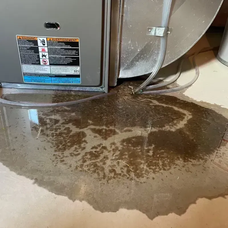 Appliance Leak Cleanup in El Paso County, CO